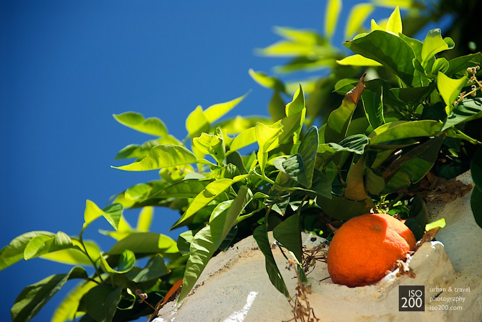 A fresh orange snuggled in the shadows against a wall in the Albaicin area of Granada, Spain.