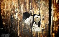Photo blog photo: 'Old weathered door, Granada'