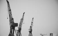 Photo blog photo: 'Glasgow cranes'
