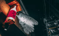 Photo blog photo: 'Sake gives you wings'